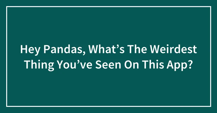 Hey Pandas, What’s The Weirdest Thing You’ve Seen On This App? (Closed)