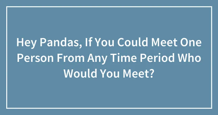 Hey Pandas, If You Could Meet One Person From Any Time Period Who Would You Meet? (Closed)