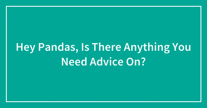 Hey Pandas, Is There Anything You Need Advice On? (Closed)