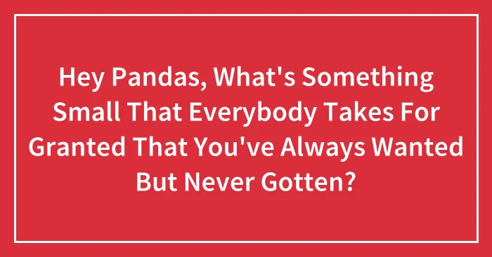 Hey Pandas, What's Something Small That Everybody Takes For Granted That You've Always Wanted But Never Gotten? (Closed)
