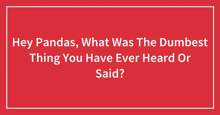 Hey Pandas, What Was The Dumbest Thing You Have Ever Heard Or Said?