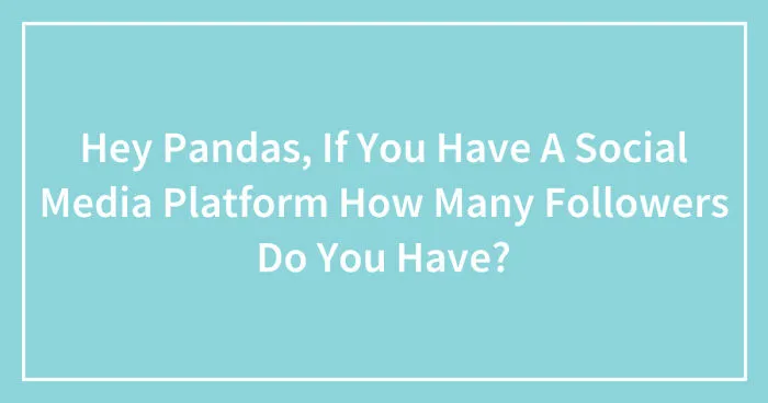Hey Pandas, If You Have A Social Media Platform How Many Followers Do You Have? (Closed)