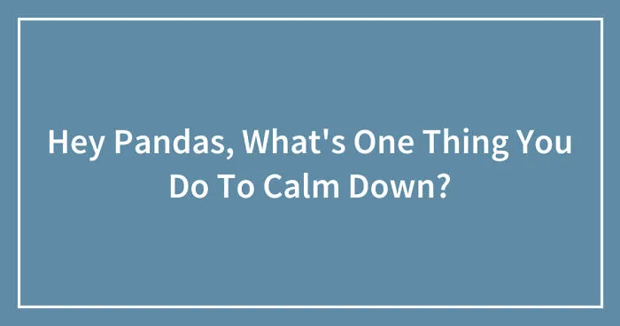 Hey Pandas, What's One Thing You Do To Calm Down? (Closed)