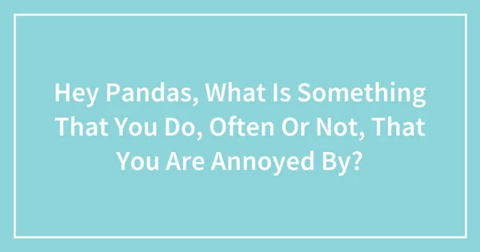 Hey Pandas, What Is Something That You Do, Often Or Not, That You Are Annoyed By? (Closed)