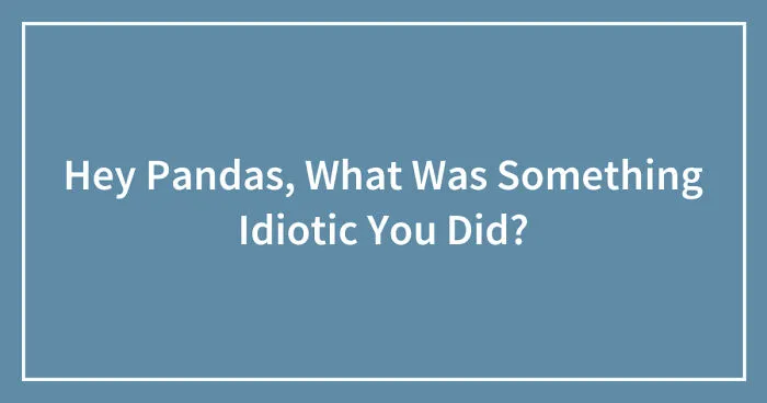Hey Pandas, What Was Something Idiotic You Did? (Closed)