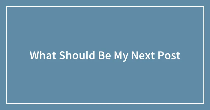 What Should Be My Next Post