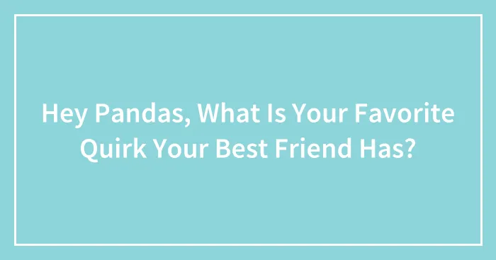 Hey Pandas, What Is Your Favorite Quirk Your Best Friend Has?