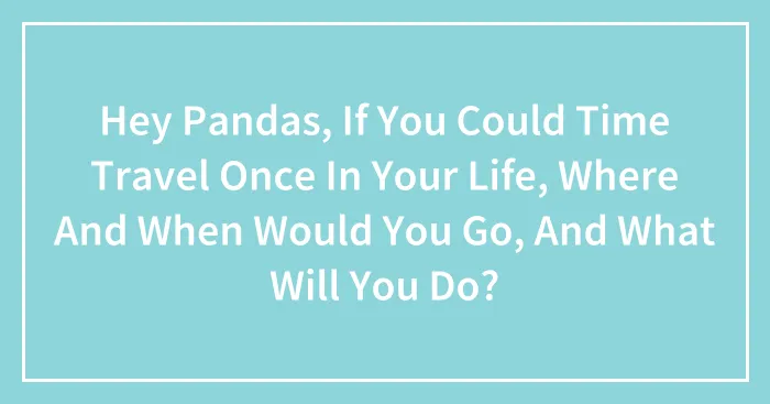 Hey Pandas, If You Could Time Travel Once In Your Life, Where And When Would You Go, And What Will You Do?
