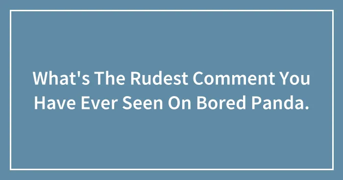 What's The Rudest Comment You Have Ever Seen On Bored Panda.