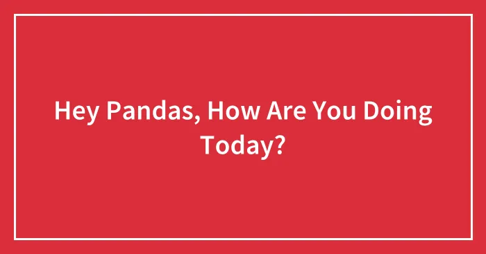 Hey Pandas, How Are You Doing Today?