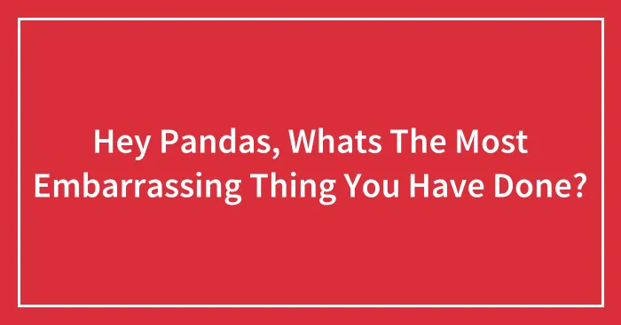 Hey Pandas, Whats The Most Embarrassing Thing You Have Done?