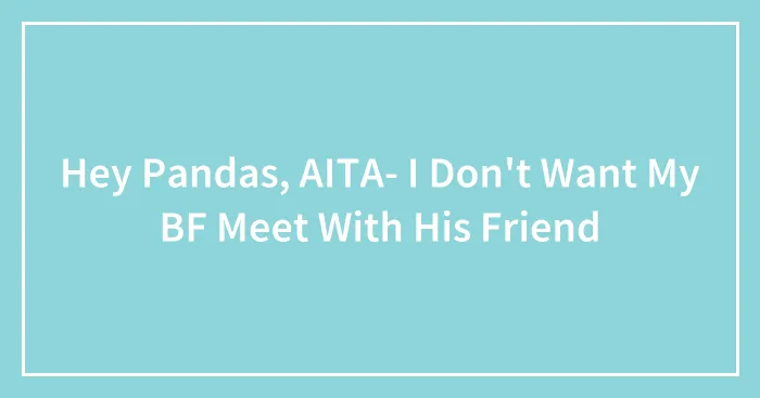 Hey Pandas, AITA- I Don't Want My BF Meet With His Friend (Closed)