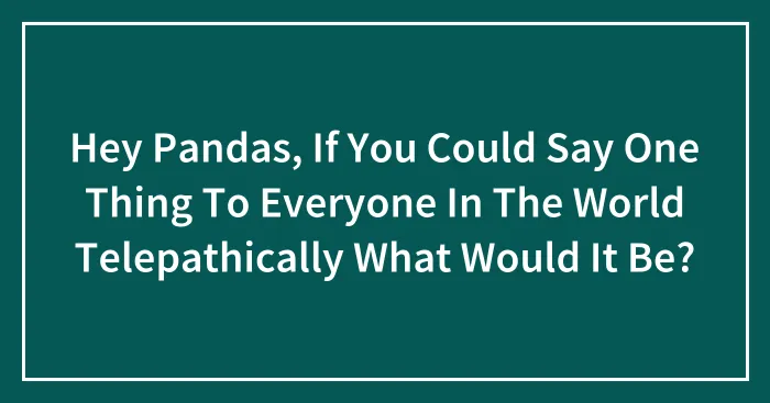 Hey Pandas, If You Could Say One Thing To Everyone In The World Telepathically What Would It Be? (Closed)