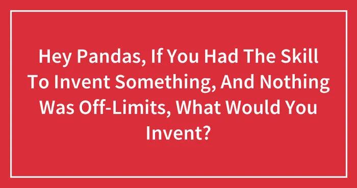 Hey Pandas, If You Had The Skill To Invent Something, And Nothing Was Off-Limits, What Would You Invent? (Closed)