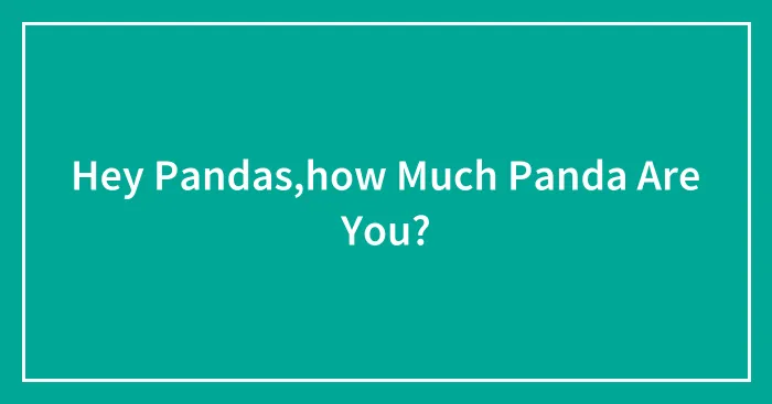 Hey Pandas,how Much Panda Are You?