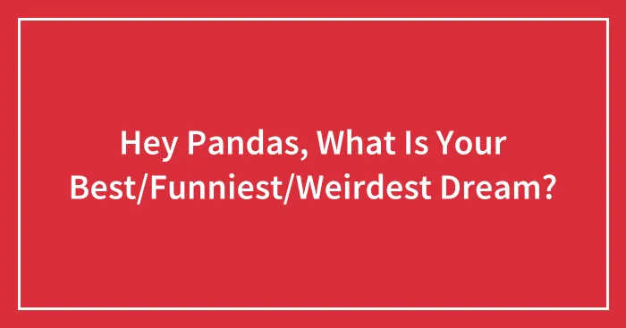 Hey Pandas, What Is Your Best/Funniest/Weirdest Dream?