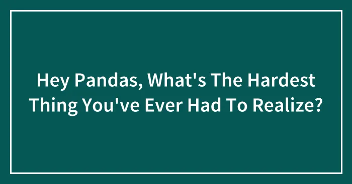 Hey Pandas, What's The Hardest Thing You've Ever Had To Realize?