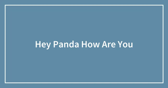 Hey Panda How Are You