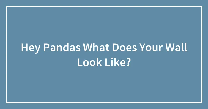 Hey Pandas What Does Your Wall Look Like?