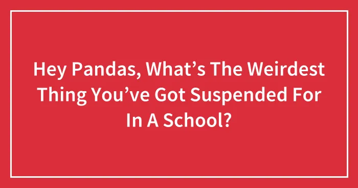 Hey Pandas, What’s The Weirdest Thing You’ve Got Suspended For In A School? (Closed)