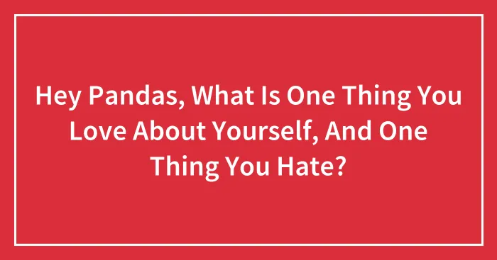 Hey Pandas, What Is One Thing You Love About Yourself, And One Thing You Hate? (Closed)