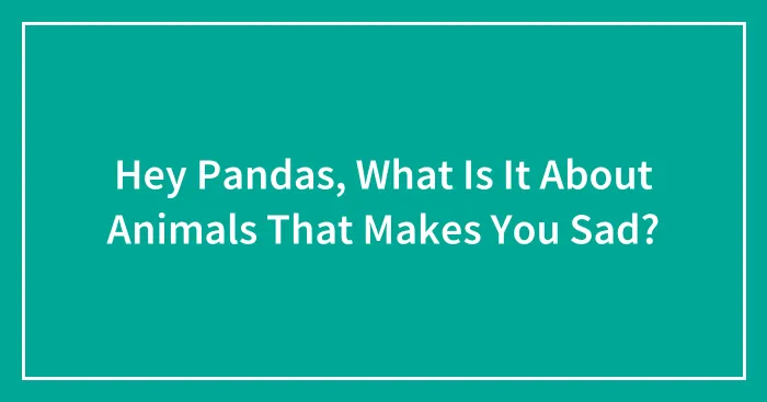 Hey Pandas, What Is It About Animals That Makes You Sad? (Closed)