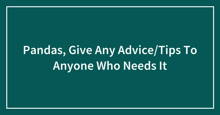 Pandas, Give Any Advice/Tips To Anyone Who Needs It