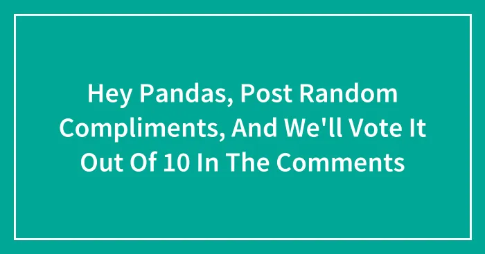 Hey Pandas, Post Random Compliments, And We'll Vote It Out Of 10 In The Comments (Closed)