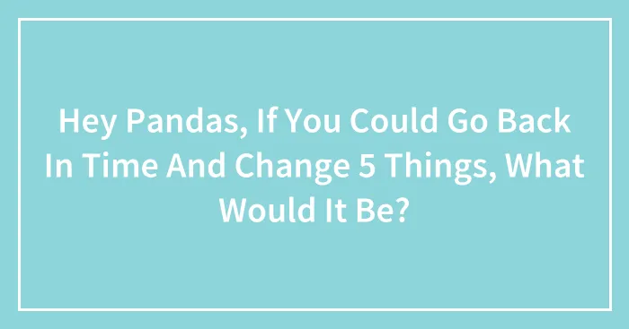 Hey Pandas, If You Could Go Back In Time And Change 5 Things, What Would It Be?