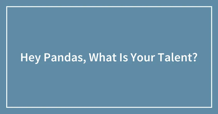 Hey Pandas, What Is Your Talent? (Closed)