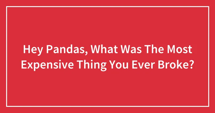 Hey Pandas, What Was The Most Expensive Thing You Ever Broke?