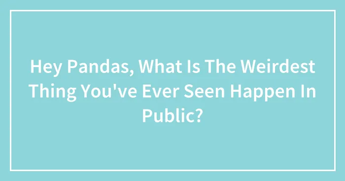 Hey Pandas, What Is The Weirdest Thing You've Ever Seen Happen In Public?