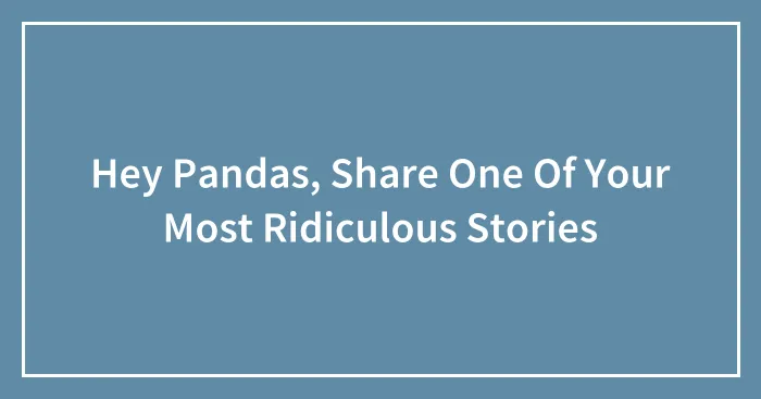 Hey Pandas, Share One Of Your Most Ridiculous Stories