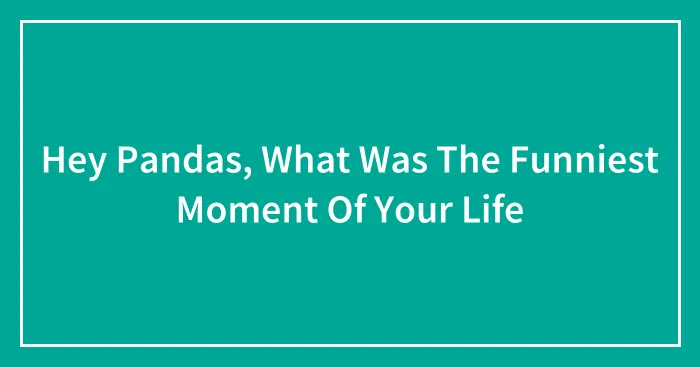 Hey Pandas, What Was The Funniest Moment Of Your Life