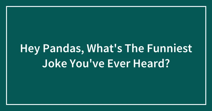 Hey Pandas, What's The Funniest Joke You've Ever Heard?