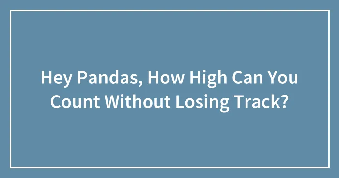 Hey Pandas, How High Can You Count Without Losing Track?