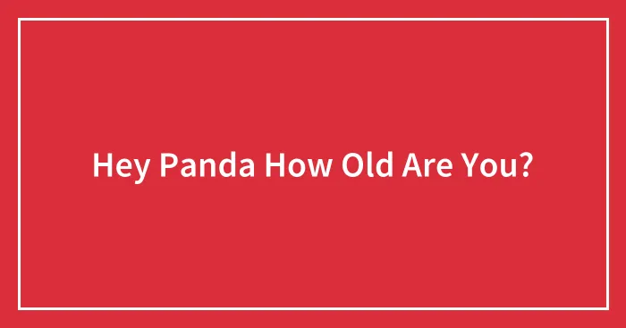 Hey Panda How Old Are You?