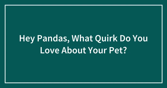 Hey Pandas, What Quirk Do You Love About Your Pet? (Closed)