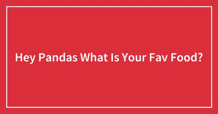 Hey Pandas What Is Your Fav Food?
