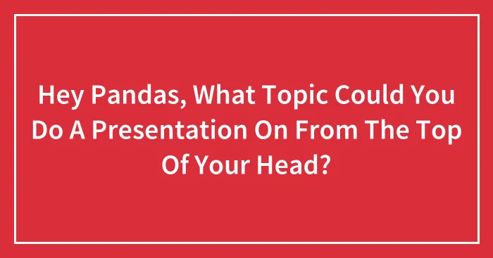 Hey Pandas, What Topic Could You Do A Presentation On From The Top Of Your Head? (Closed)