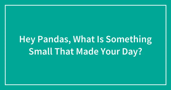 Hey Pandas, What Is Something Small That Made Your Day? (Closed)