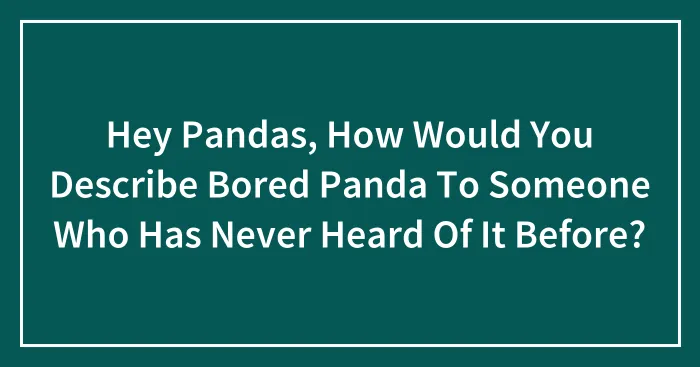 Hey Pandas, How Would You Describe Bored Panda To Someone Who Has Never Heard Of It Before? (Closed)