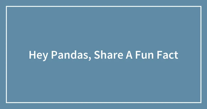 Hey Pandas, Share A Fun Fact (Closed)