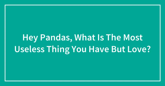 Hey Pandas, What Is The Most Useless Thing You Have But Love? (Closed)