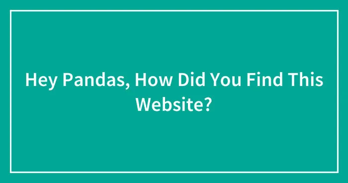 Hey Pandas, How Did You Find This Website? (Closed)