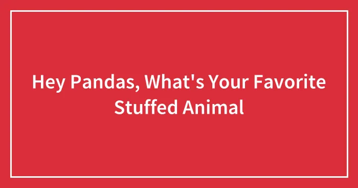 Hey Pandas, What's Your Favorite Stuffed Animal