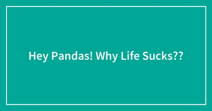 Hey Pandas! Why Life Sucks??