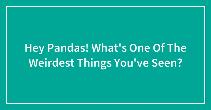 Hey Pandas! What's One Of The Weirdest Things You've Seen?