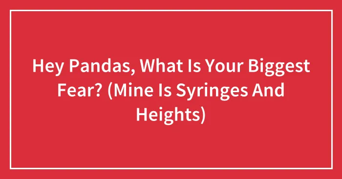 Hey Pandas, What Is Your Biggest Fear? (Mine Is Syringes And Heights)