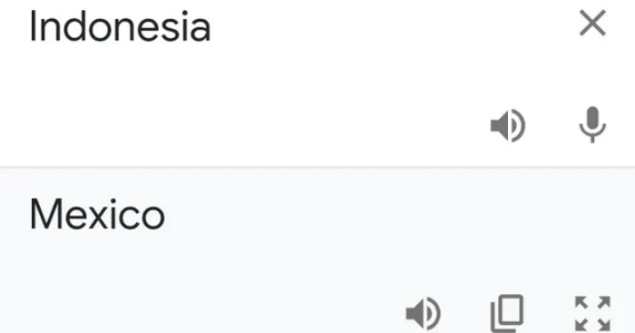 Hey Pandas, Post Some Google Translate Fails (Closed)